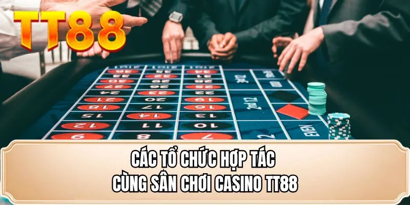 Các tổ chức hợp tác cùng sân chơi casino TT88